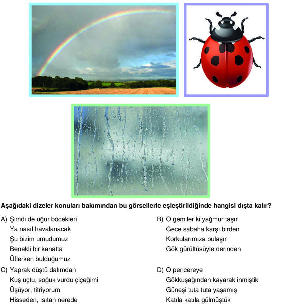 Aşağıdaki dizeler konuları bakımından bu görsellerde eşleştirildiğinde hangisi dışta kalır?