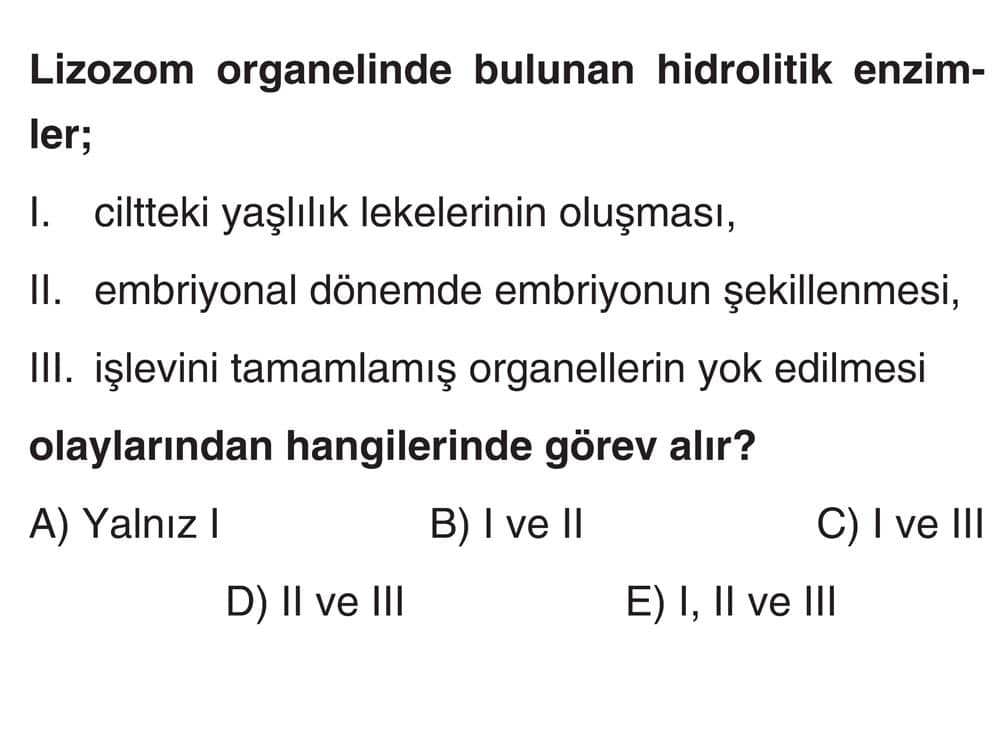 Lizozom organelinde bulunan hidrolitik enzimler; I. ciltteki yaşlılık lekelerinin oluşması, II