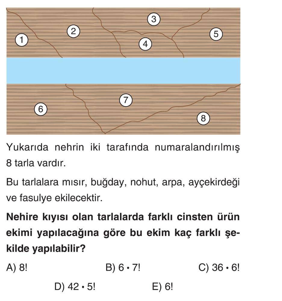 Yukarıda nehrin iki tarafında numaralandırılmış 8 tarla vardır. Bu tarlalara mısır, buğday, nohut