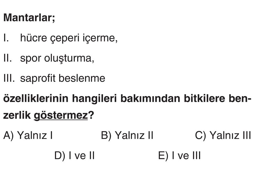Mantarlar; I. hücre çeperi içerme, II. spor oluşturma, III. saprofit beslenme özelliklerinin