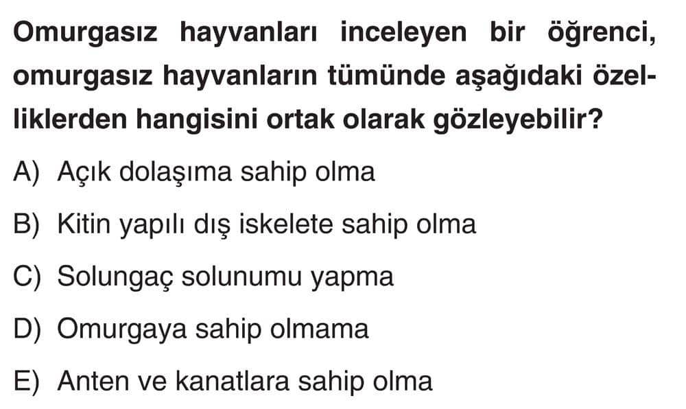Omurgasız hayvanları inceleyen bir öğrenci, omurgasız hayvanların tümünde aşağıdaki özelliklerden