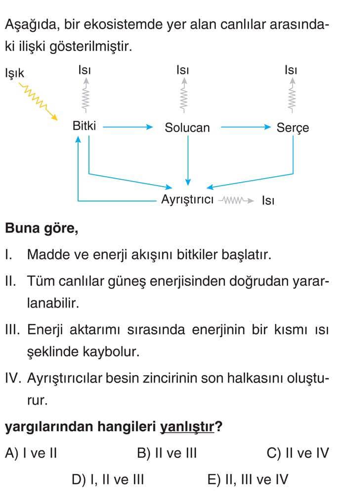 Aşağıda, bir ekosistemde yer alan canlılar arasındaki ilişki gösterilmiştir. Buna göre, I. Madde ve