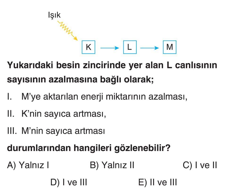 Yukarıdaki besin zincirinde yer alan L canlısının sayısının azalmasına bağlı olarak; I. M'ye