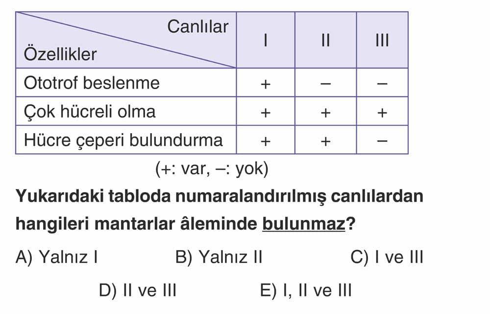 Yukarıdaki tabloda numaralandırılmış canlılardan hangileri mantarlar âleminde bulunmaz?