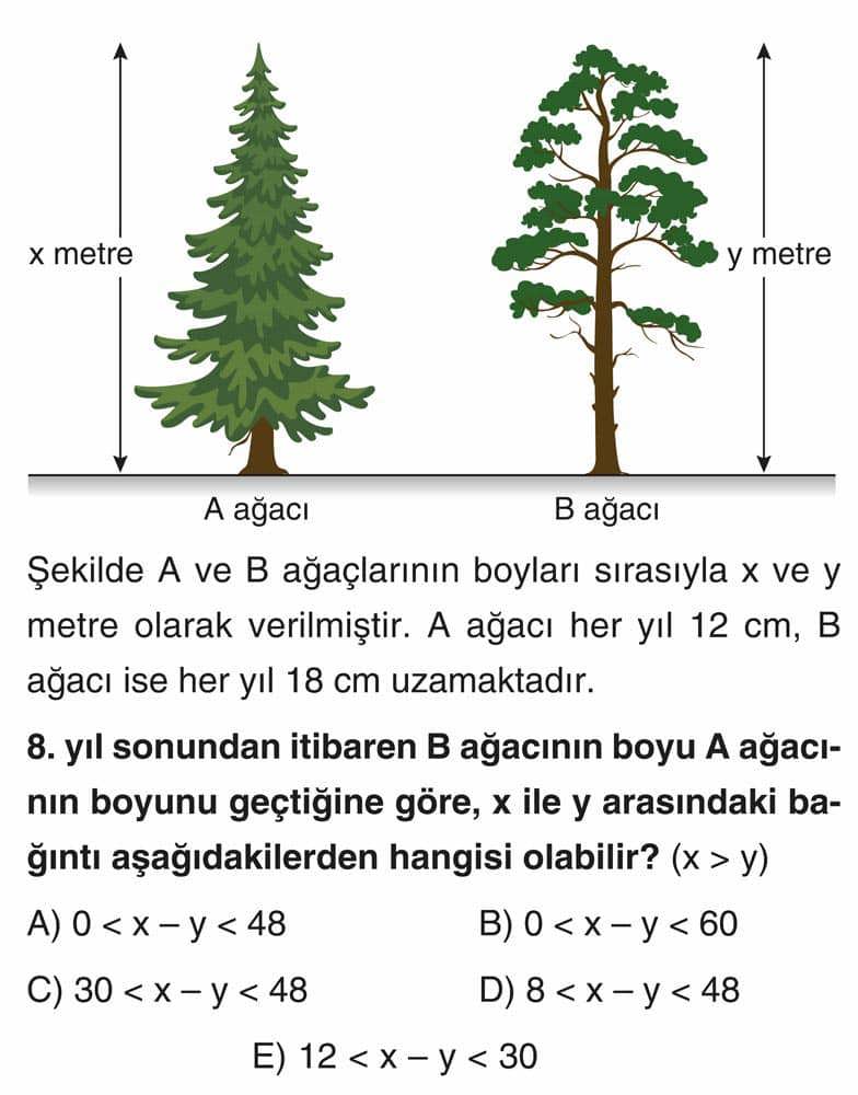 Şekilde A ve B ağaçlarının boyları sırasıyla x ve y metre olarak verilmiştir. A ağacı her yıl 12 cm