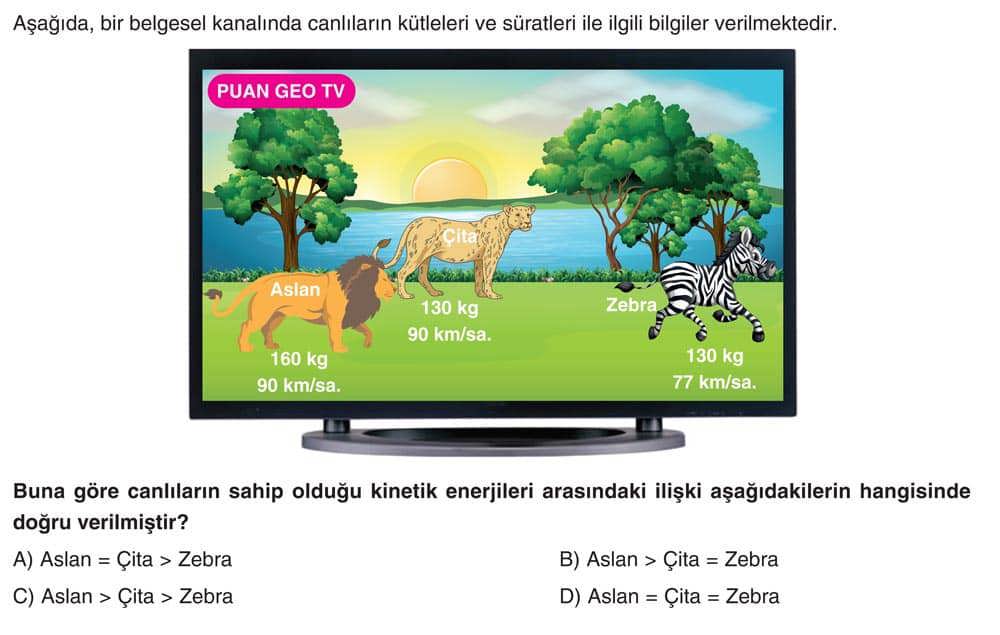 Aşağıda, bir belgesel kanalında canlıların kütleleri ve sürtatleri ile ilgili bilgiler
