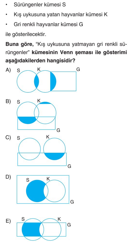 • Sürüngenler kümesi S • Kış uykusuna yatan hayvanlar kümesi K • Gri renkli hayvanlar kümesi G ile