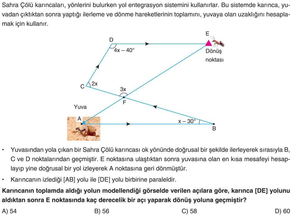 Sahra Çölü karıncaları, yönlerini bulurken yol entegrasyon sistemini kullanırlar. Bu sistemde