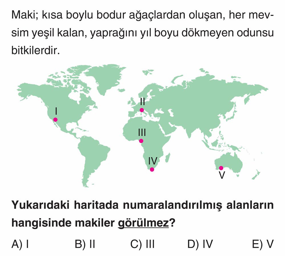 Maki; kısa boylu bodur ağaçlardan oluşan, her mevsim yeşil kalan, yaprağını yıl boyu dökmeyen odunsu