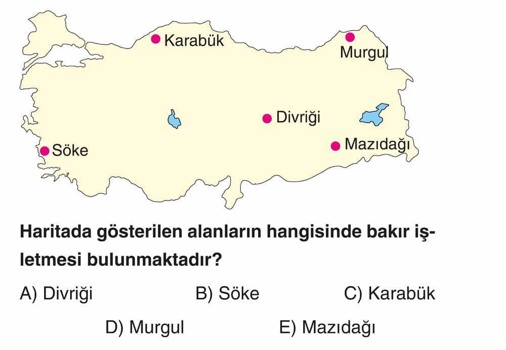Haritada gösterilen alanların hangisinde bakır işletmesi bulunmaktadır?