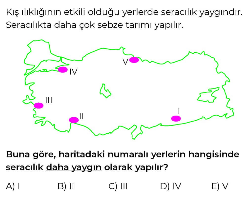 Kış ılıklığının etkili olduğu yerlerde seracılık yaygındır. Seracılıkta daha çok sebze tarımı