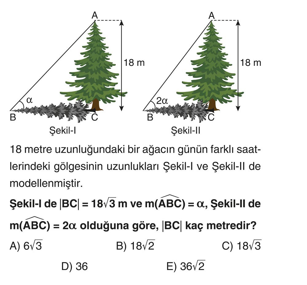 18 metre uzunluğundaki bir ağacın günün farklı saatlerindeki gölgesinin uzunlukları Şekil-I ve