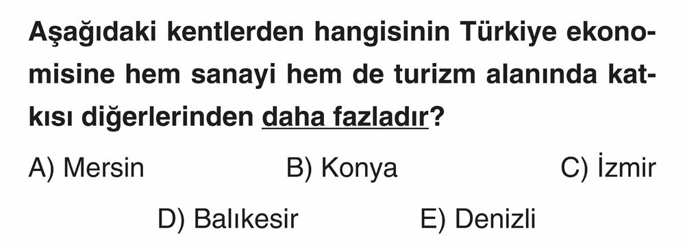 Aşağıdaki kentlerden hangisinin Türkiye ekonomisine hem sanayi hem de turizm alanında katkısı