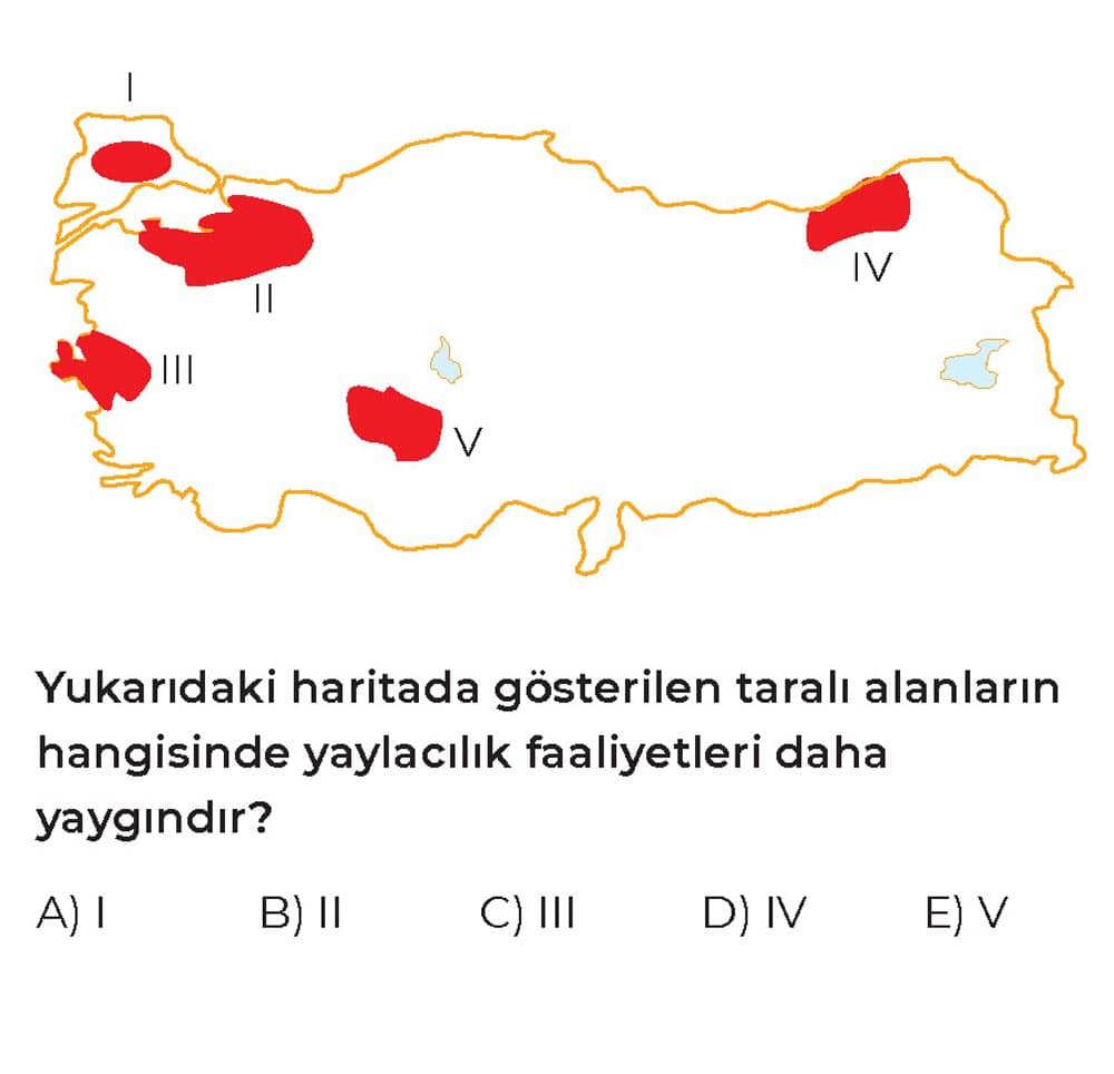 Yukarıdaki haritada gösterilen taralı alanların hangisinde yaylacılık faaliyetleri daha yaygındır?