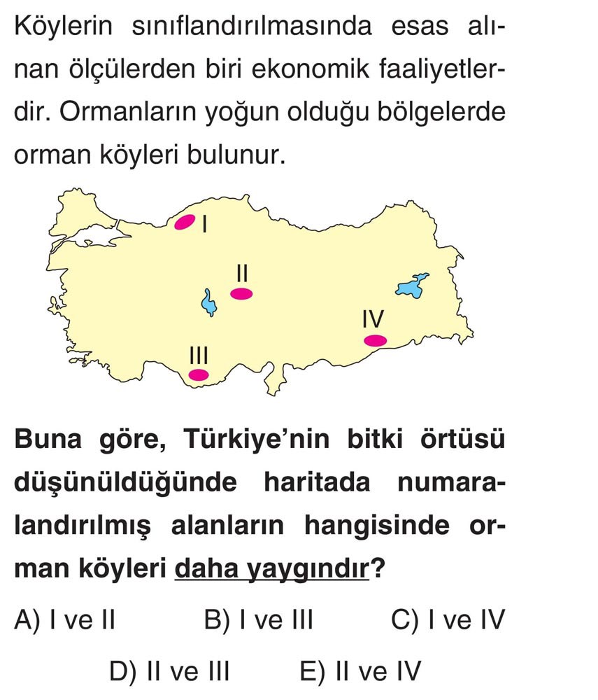 Köylerin sınıflandırılmasında esas alınan ölçülerden biri ekonomik faaliyetlerdir. Ormanların yoğun