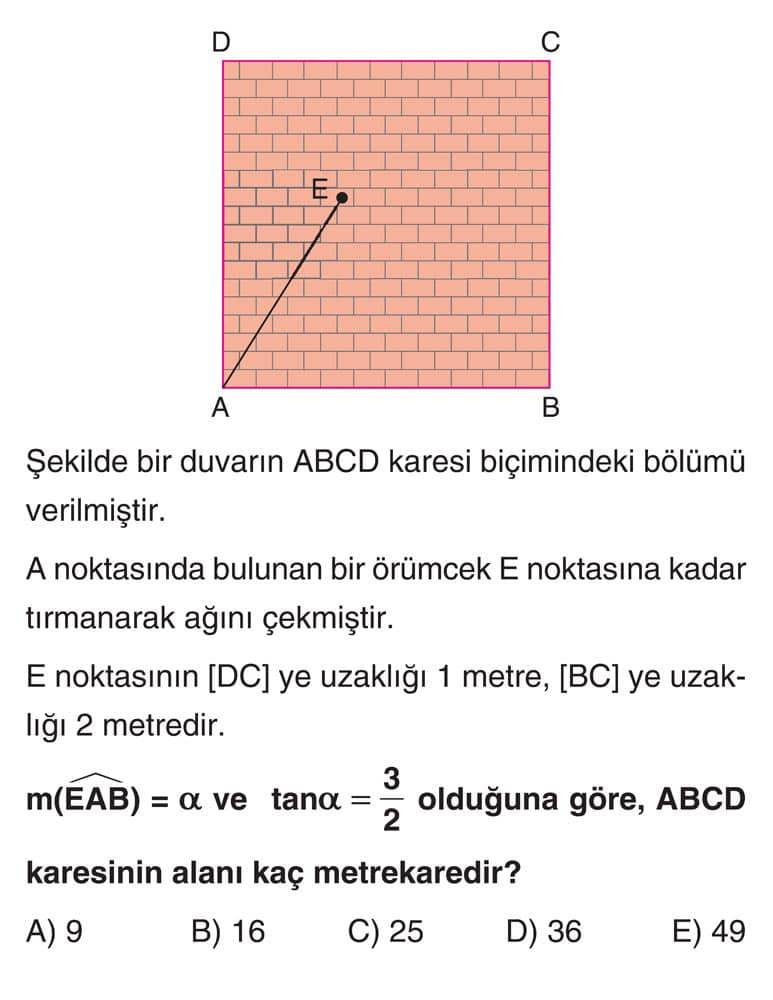 Şekilde bir duvarın ABCD karesi biçimindeki bölümü verilmiştir. A noktasında bulunan bir örümcek E