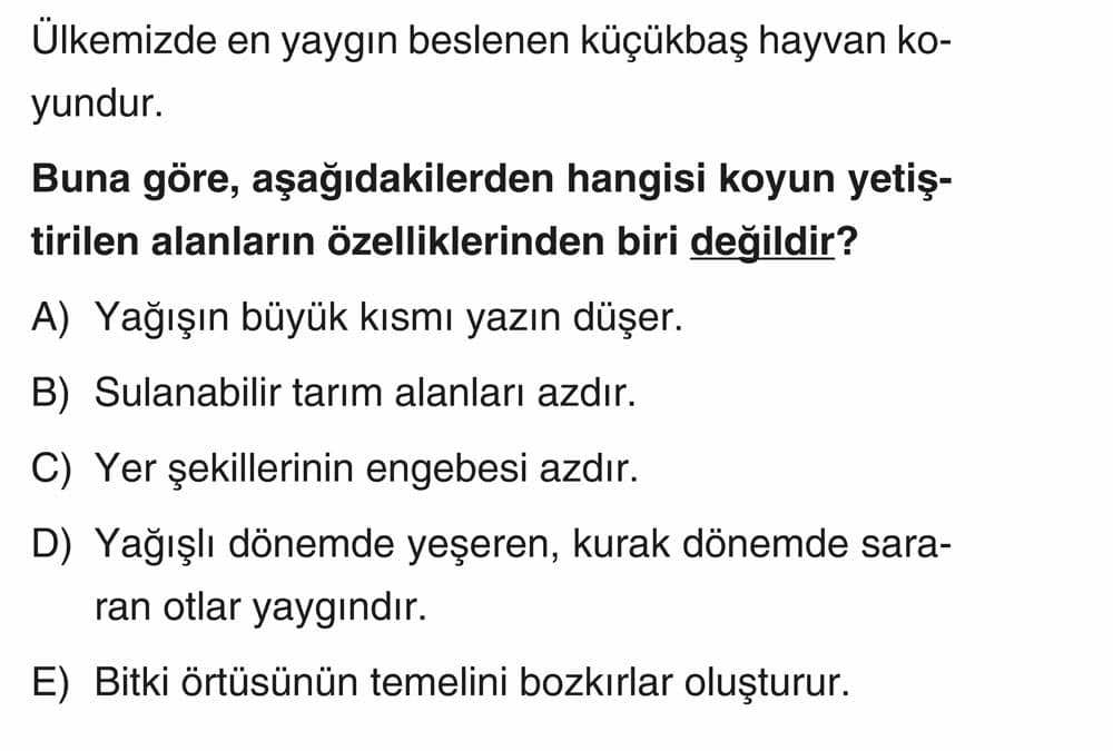 Ülkemizde en yaygın beslenen küçükbaş hayvan koyundur. Buna göre, aşağıdakilerden hangisi koyun