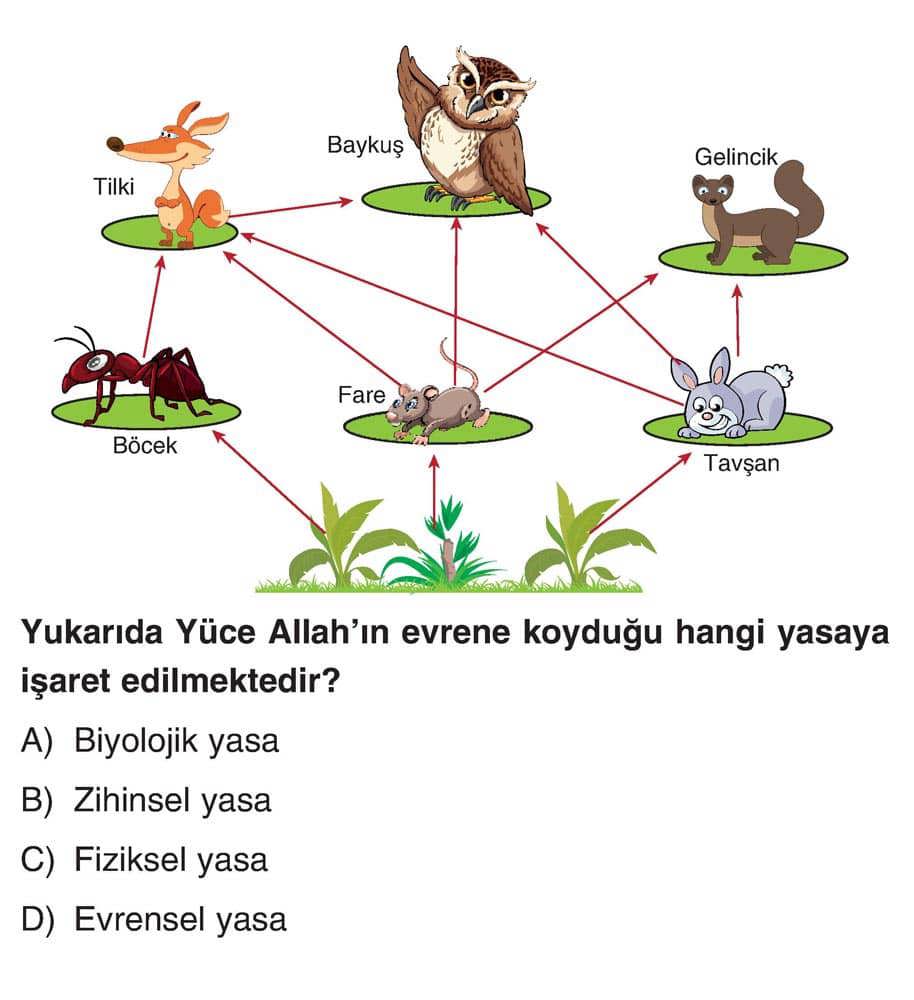 Yukarıda Yüce Allah'ın evrene koyduğu hangi yasaya işaret edilmektedir?