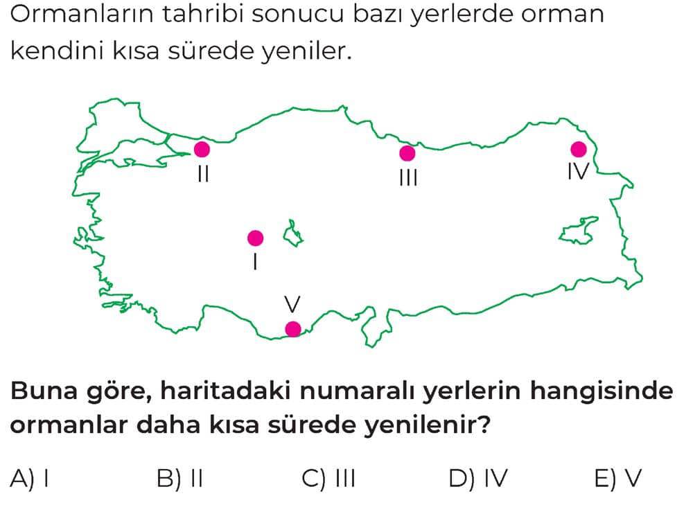 Ormanların tahribi sonucu bazı yerlerde orman kendini kısa sürede yeniler. Buna göre, haritadaki