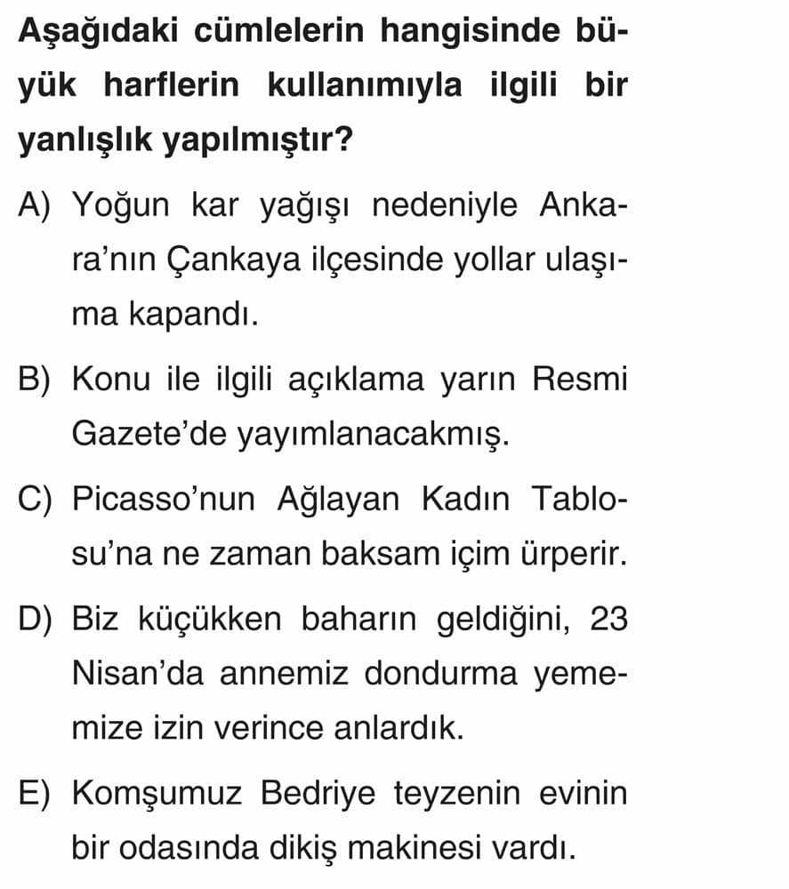 Aşağıdaki cümlelerin hangisinde büyük harflerin kullanımıyla ilgili bir yanlışlık yapılmıştır?