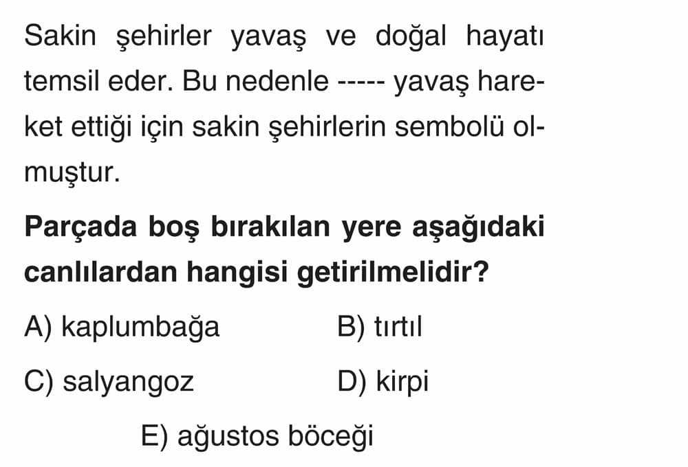 Sakin şehirler yavaş ve doğal hayatı temsil eder. Bu nedenle ----- yavaş hareket ettiği için sakin