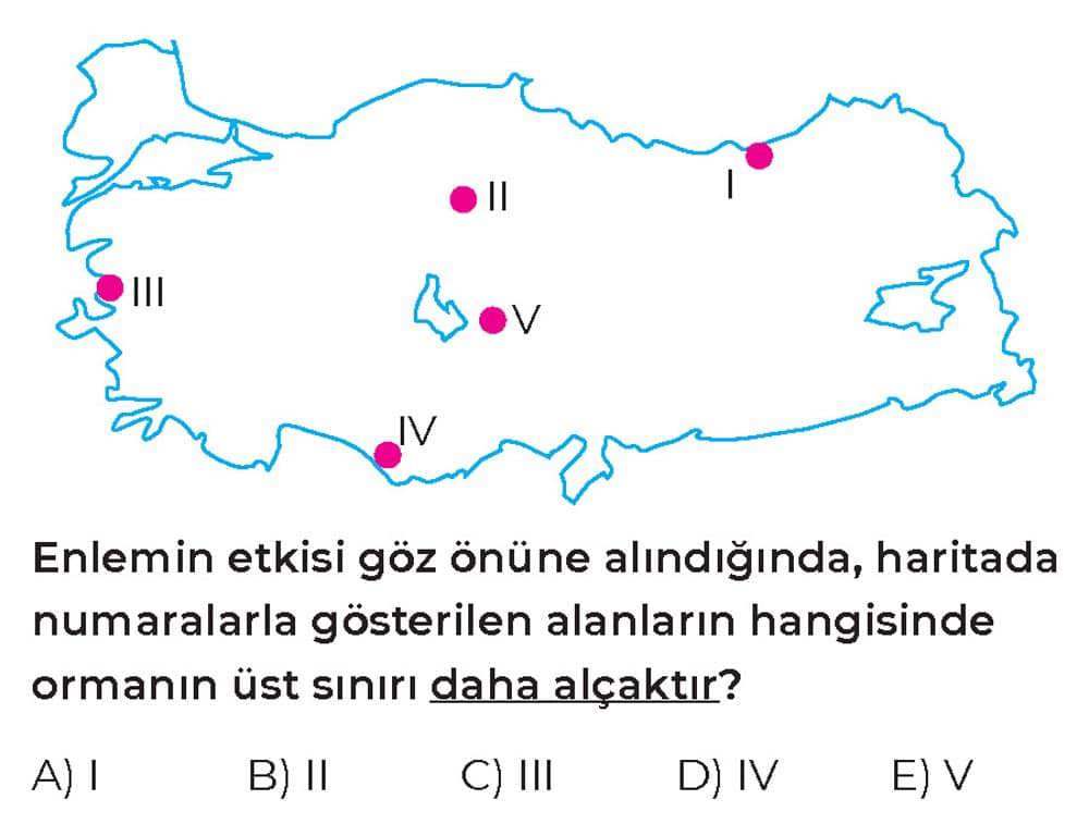 Enlemin etkisi göz önüne alındığında, haritada numaralarla gösterilen alanların hangisinde ormanın