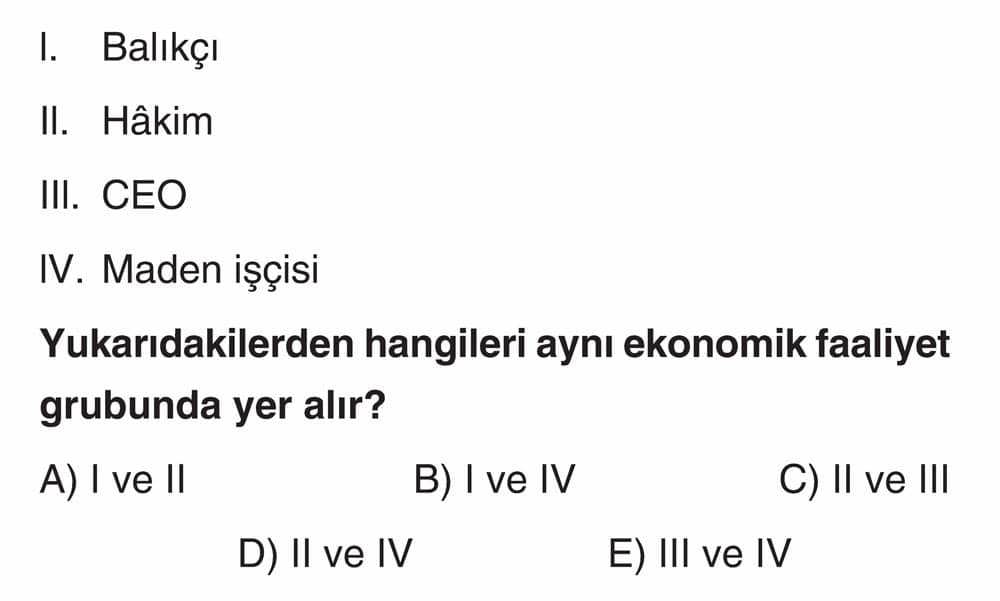I. Balıkçı II. Hâkim III. CEO IV. Maden işçisi Yukarıdakilerden hangileri aynı ekonomik faaliyet
