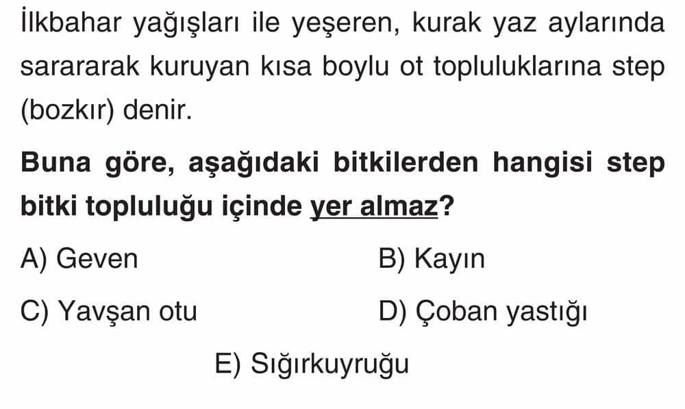 İlkbahar yağışları ile yeşeren, kurak yaz aylarında sarararak kuruyan kısa boylu ot topluluklarına