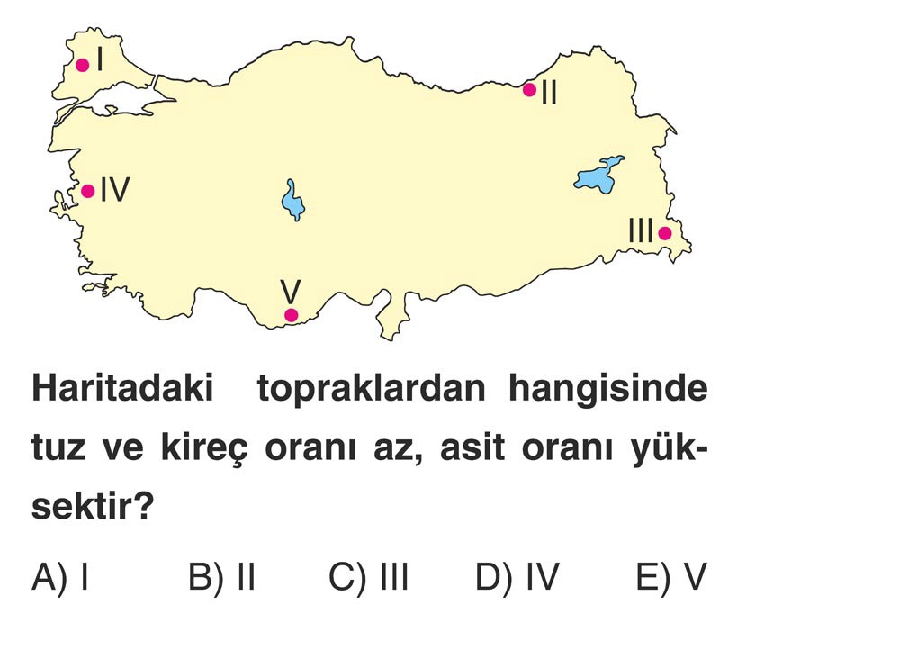 Haritadaki topraklardan hangisinde tuz ve kireç oranı az, asit oranı yüksektir?