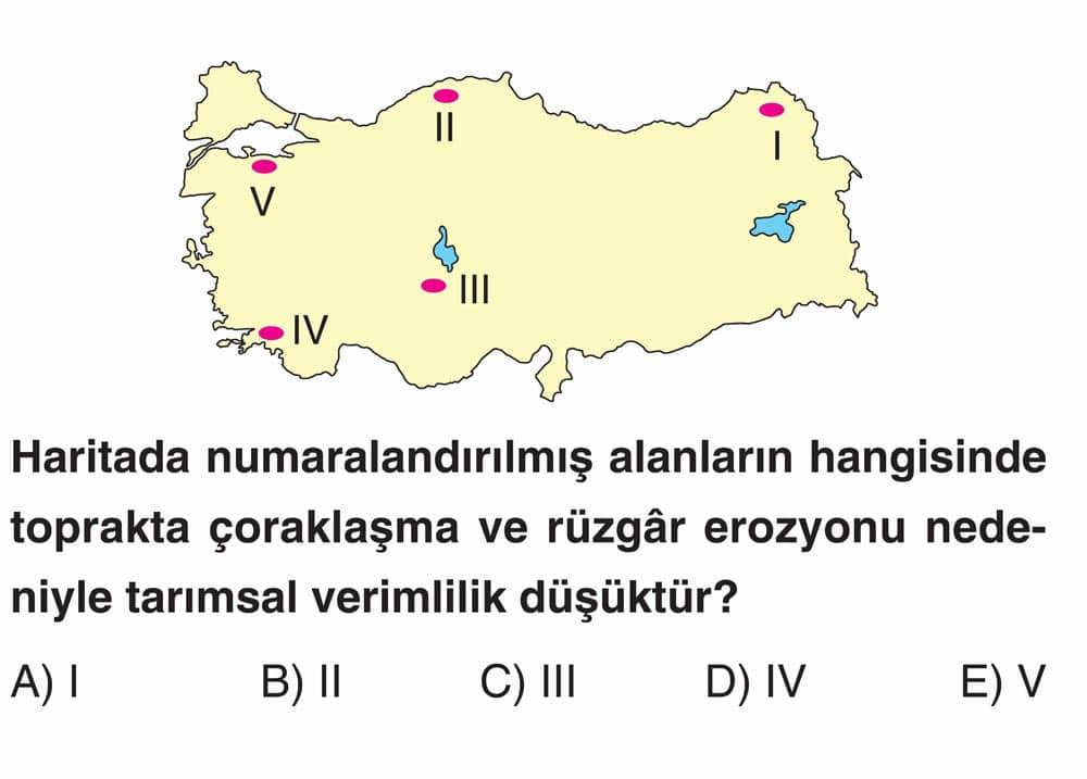 Haritada numaralandırılmış alanların hangisinde toprakta çoraklaşma ve rüzgâr erozyonu nedeniyle