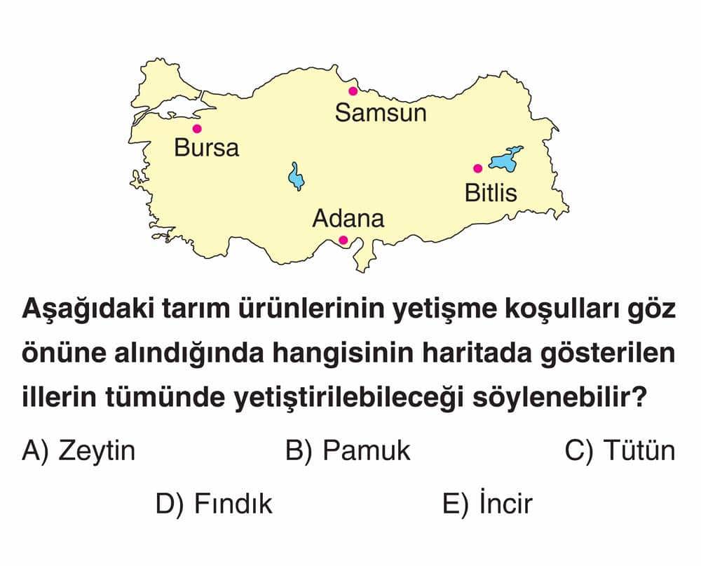 Aşağıdaki tarım ürünlerinin yetişme koşulları göz önüne alındığında hangisinin haritada gösterilen