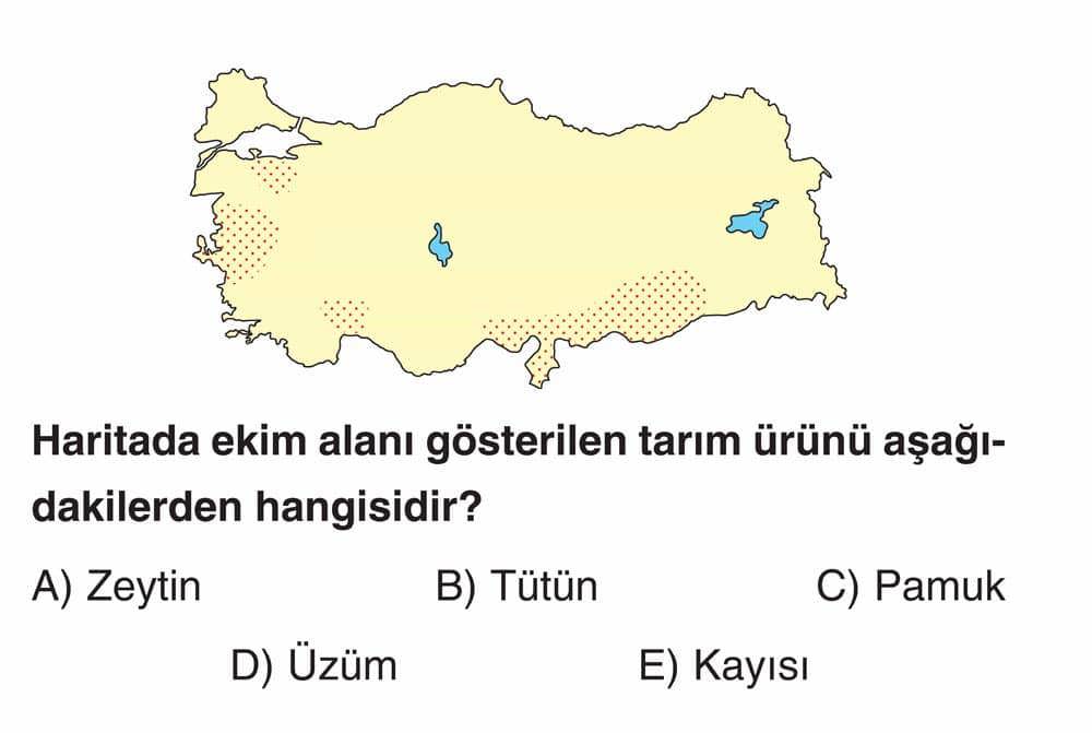 Haritada ekim alanı gösterilen tarım ürünü aşağıdakilerden hangisidir?