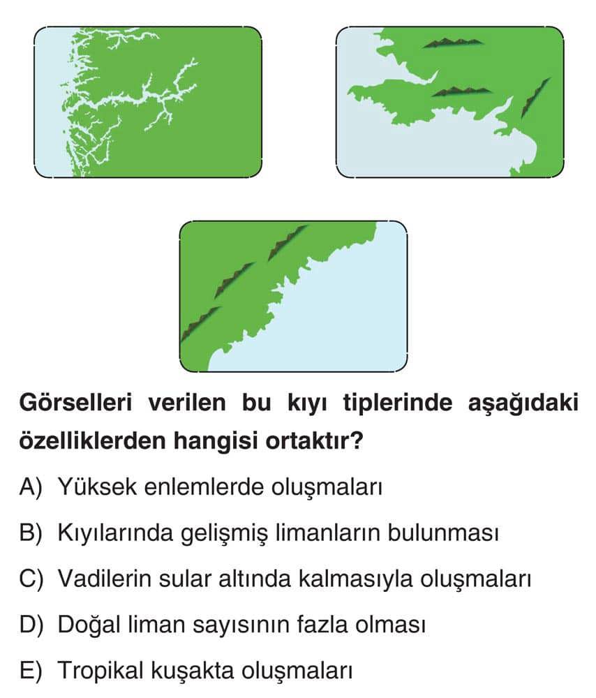 Görselleri verilen bu kıyı tiplerinde aşağıdaki özelliklerden hangisi ortaktır?