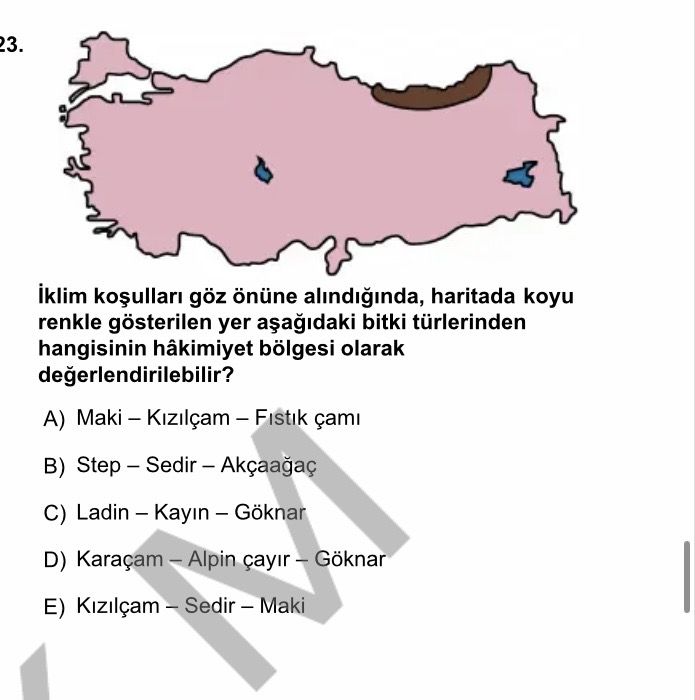 İklim koşulları göz önüne alındığında, haritada koyu renkle gösterilen yer aşağıdaki bitki