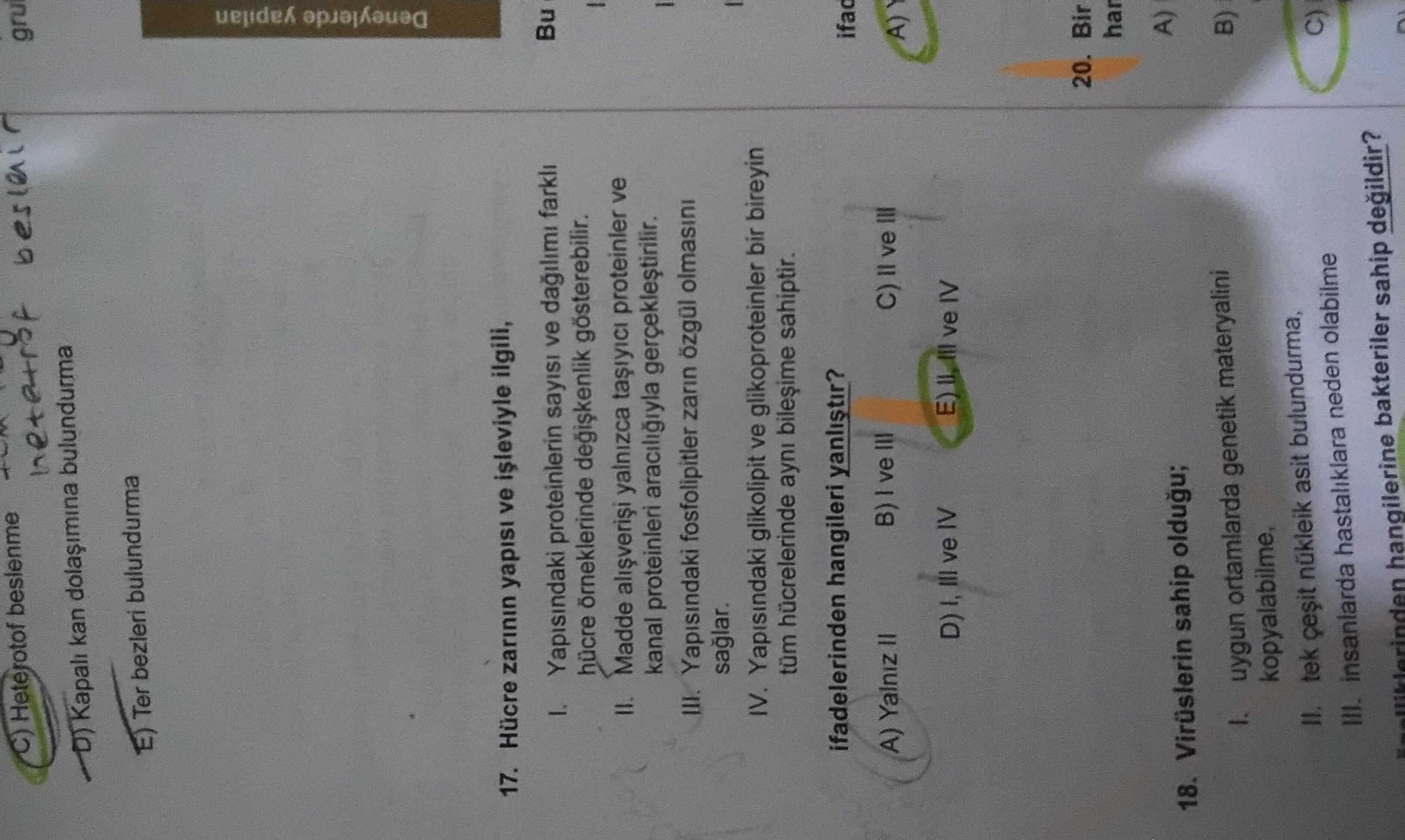 Biyoloji (12. Sınıf)