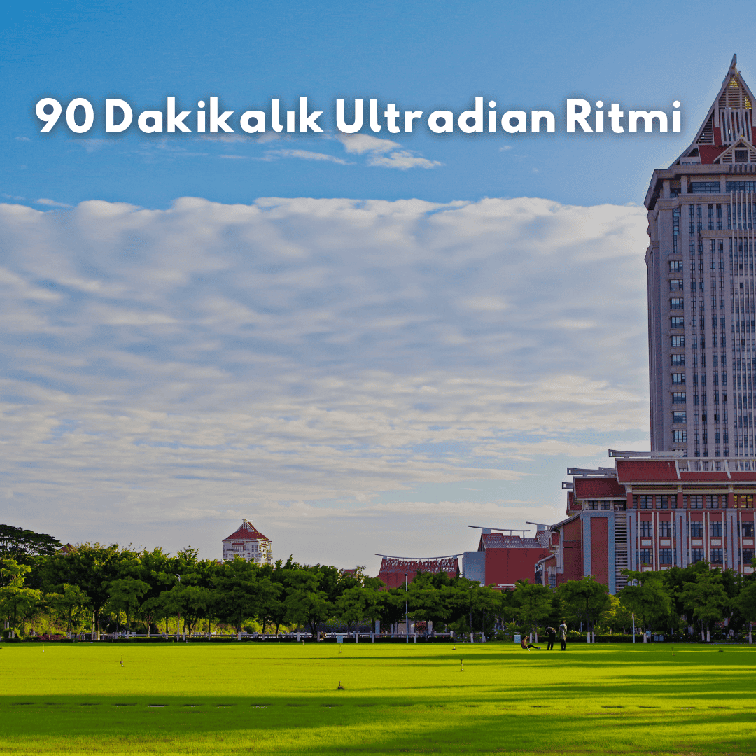 90 Dakikalık Ultradian Ritmi: Zihinsel Performansı Artıran Doğal Döngü