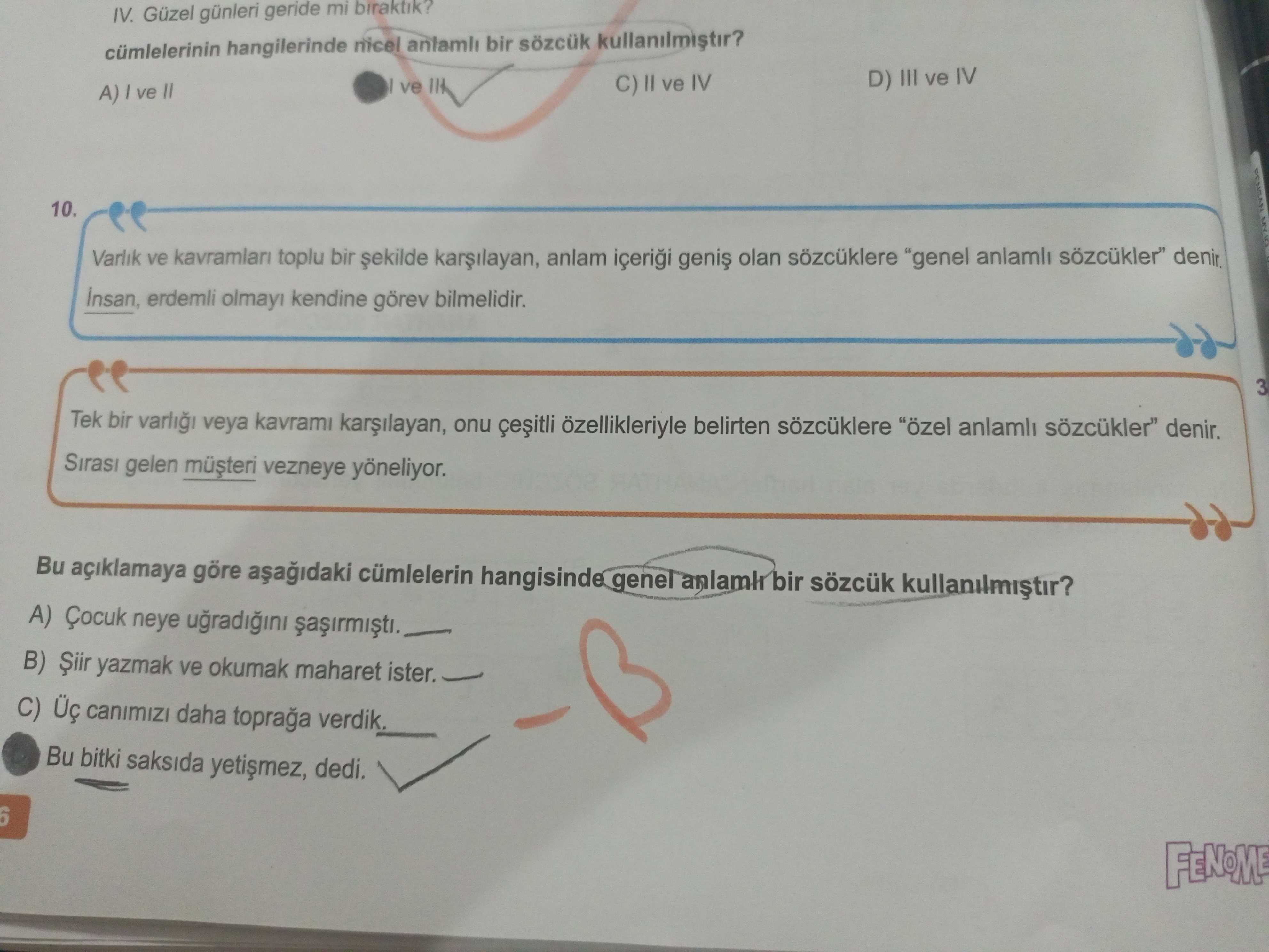 Türkçe (8. Sınıf)