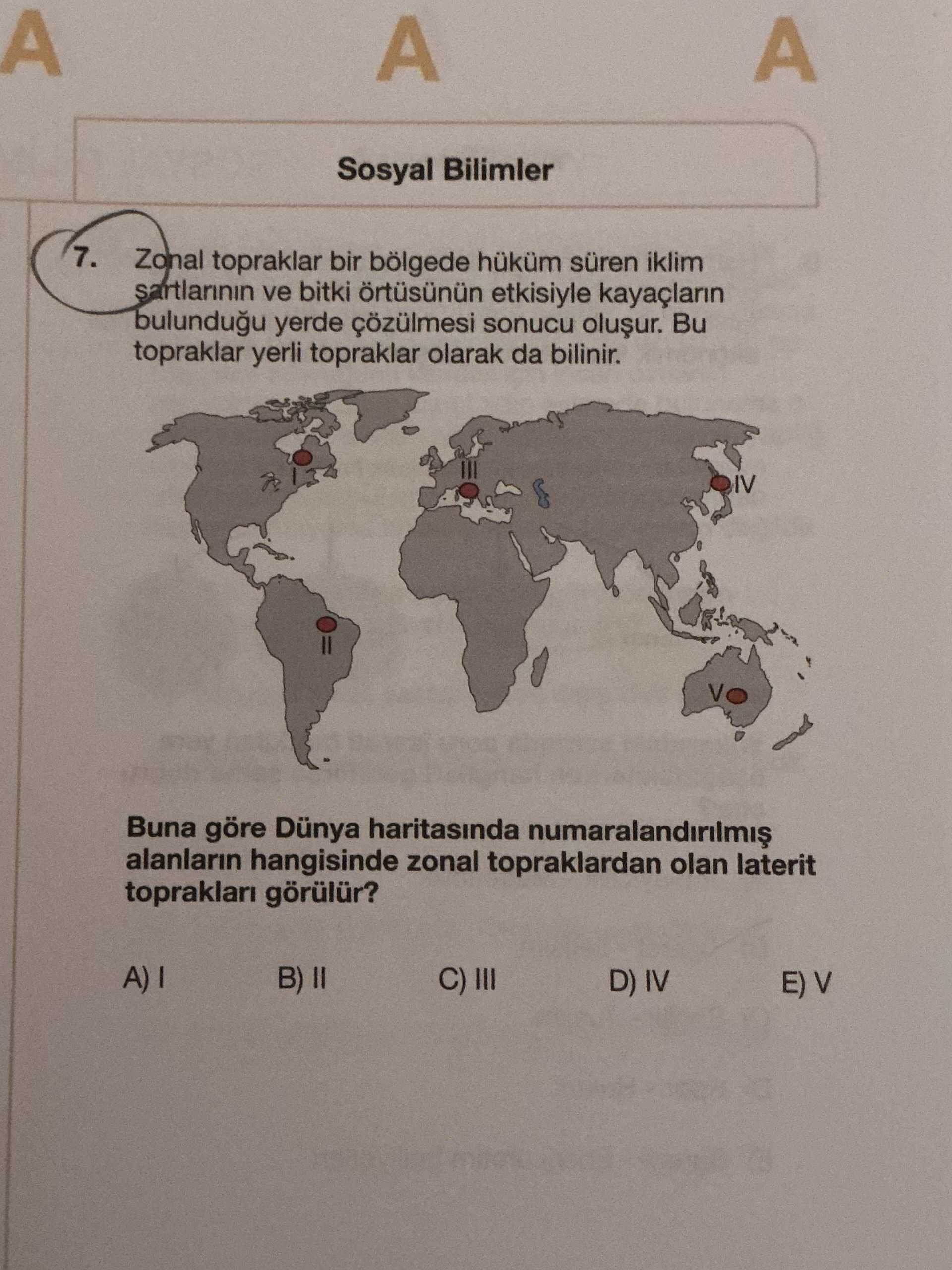 Zonal topraklar bir bölgede hüküm süren iklim şartlarının ve bitki örtüsünün etkisiyle kayaçların