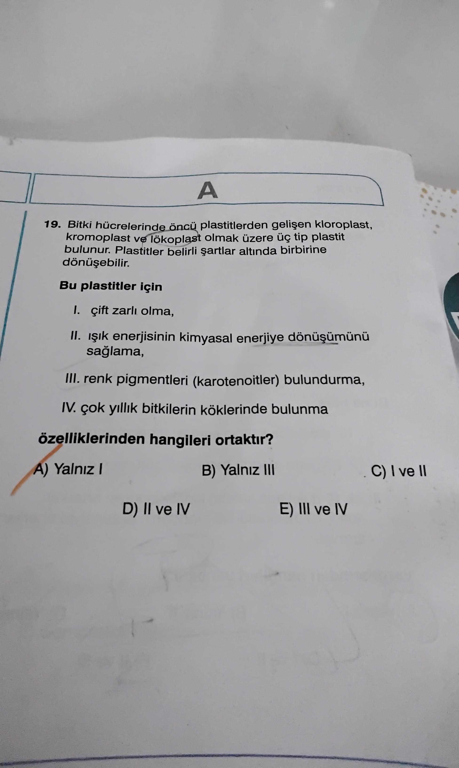 Bitki hücrelerinde öncü plastitlerden gelişen kloroplast, kromoplast ve lökoplast olmak üzere üç tip