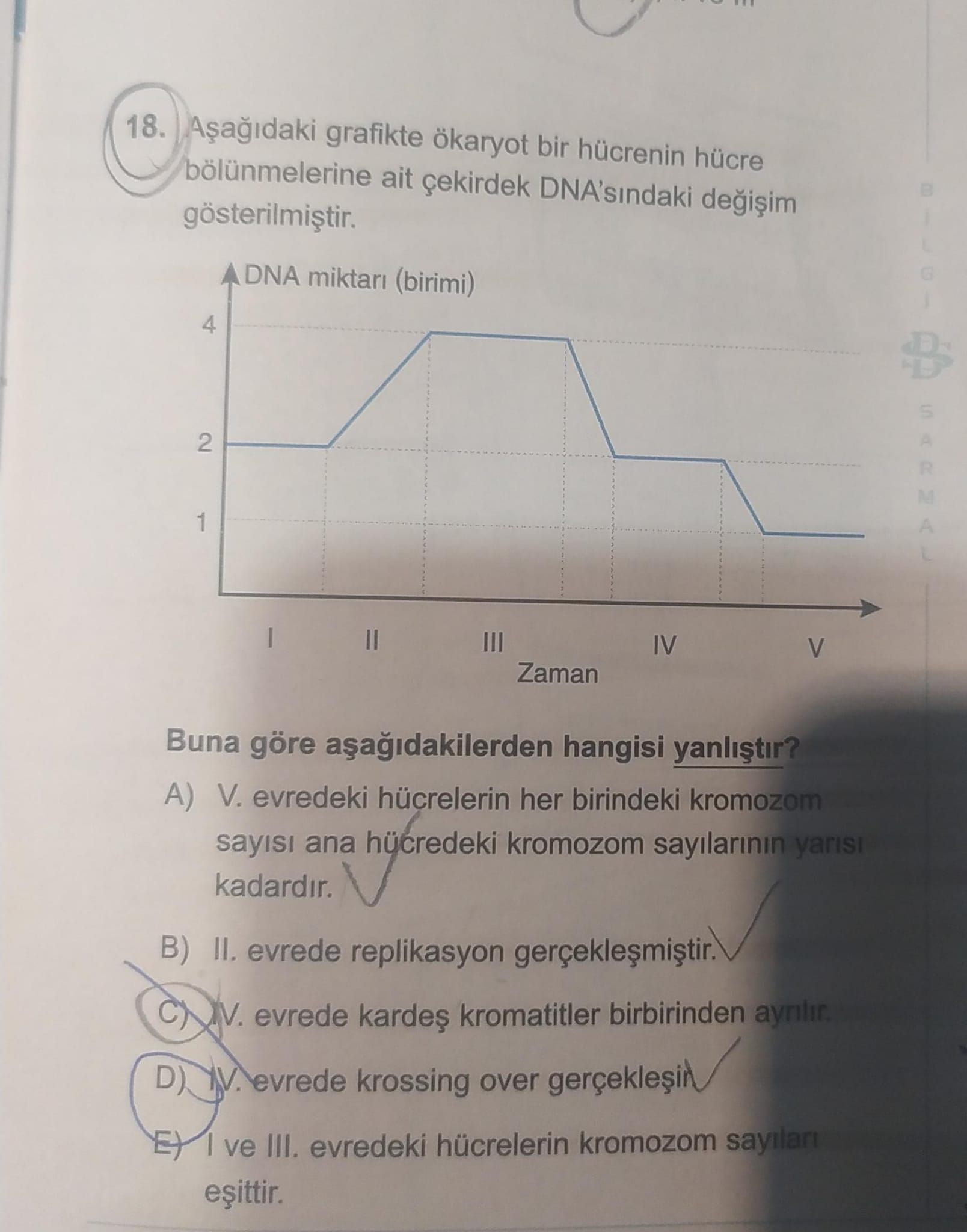 Aşağıdaki grafikte ökaryot bir hücrenin hücre bölünmelerine ait çekirdek DNA'sındaki değişim