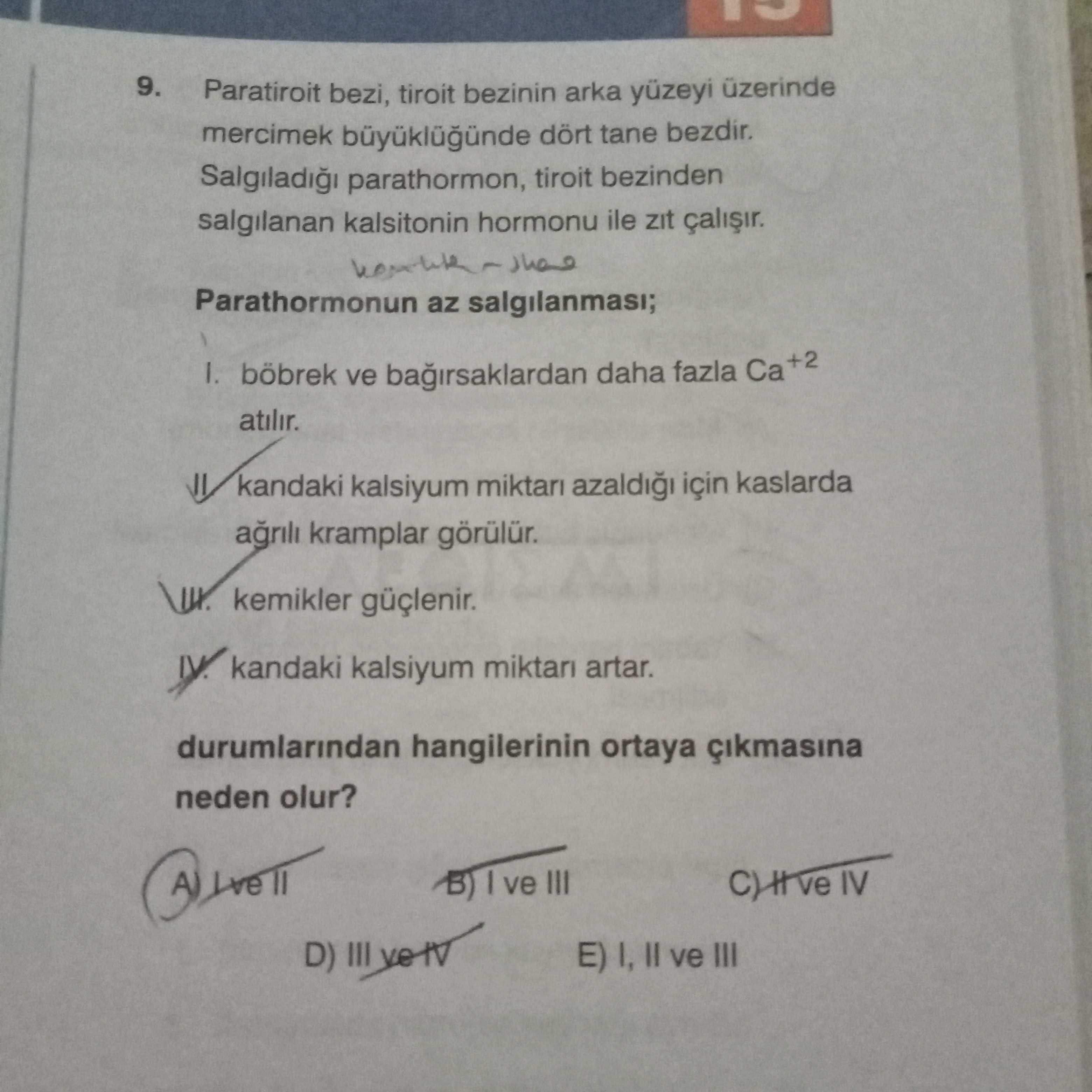 Paratiroit bezi, tiroit bezinin arka yüzeyi üzerinde mercimek büyüklüğünde dört tane bezdir