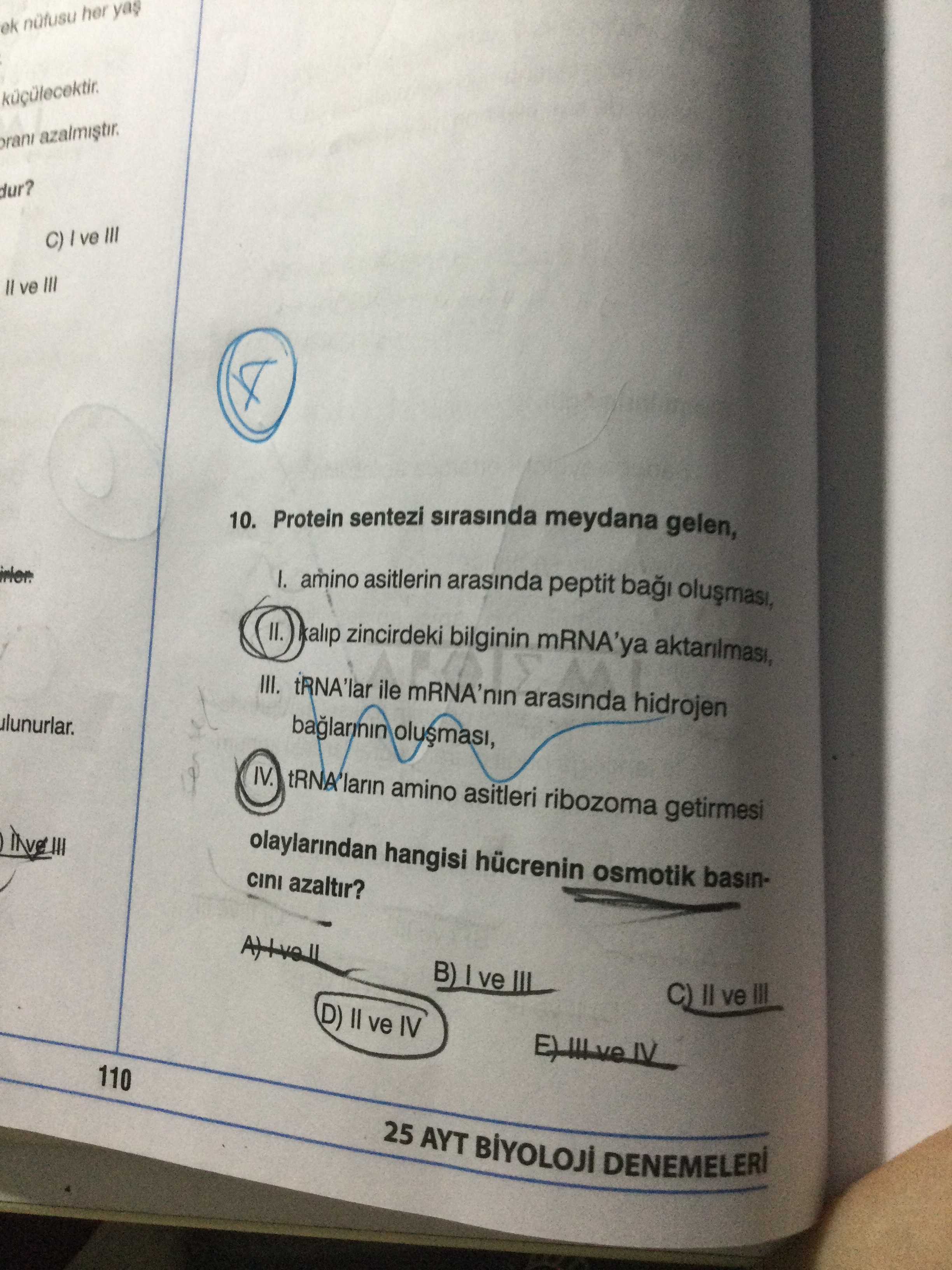 Protein sentezi sırasında meydana gelen, I. amino asitlerin arasında peptit bağı oluşması, II. kalıp zincirdeki bilginin mRNA'ya