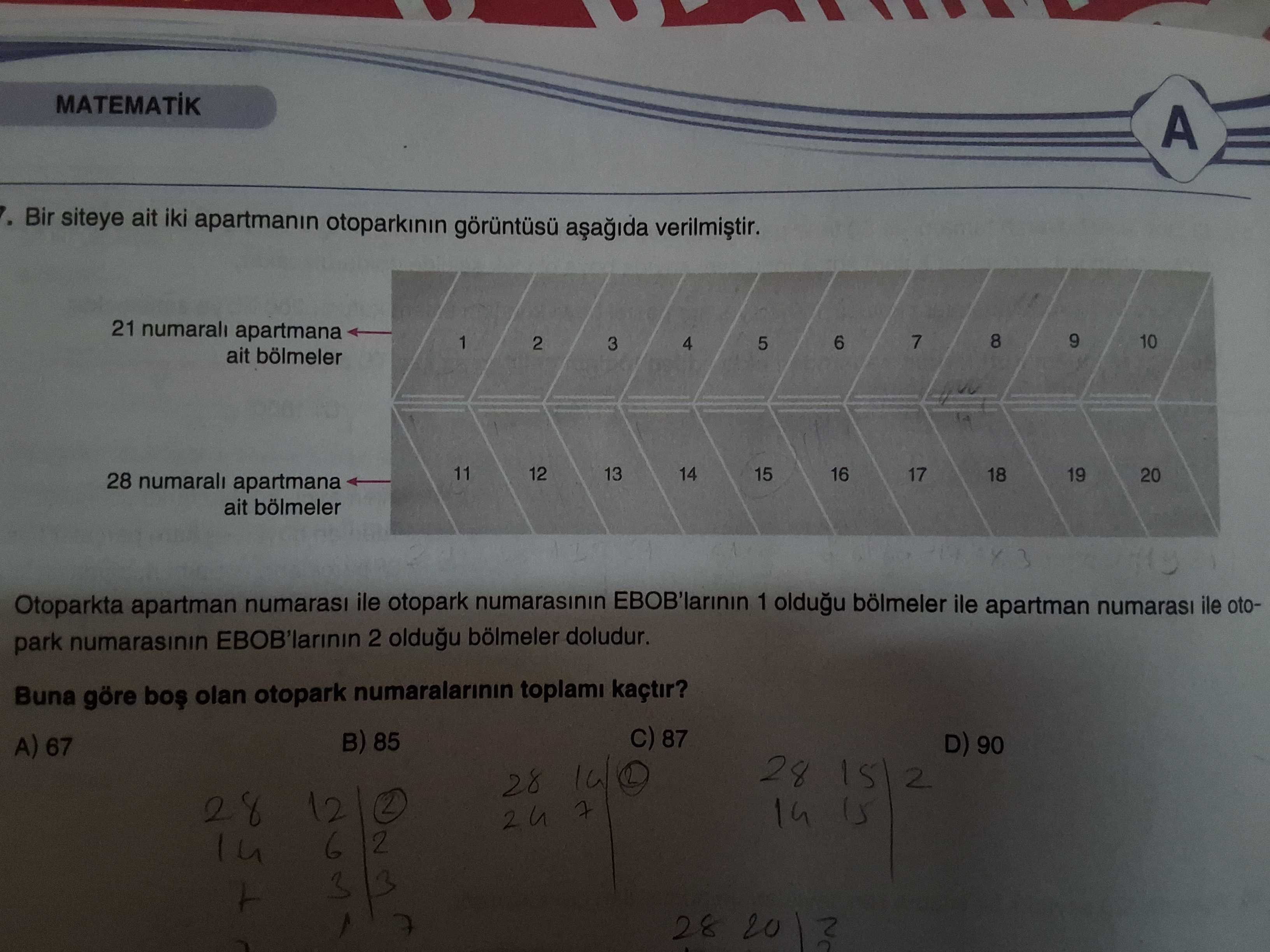 Matematik (8. Sınıf)