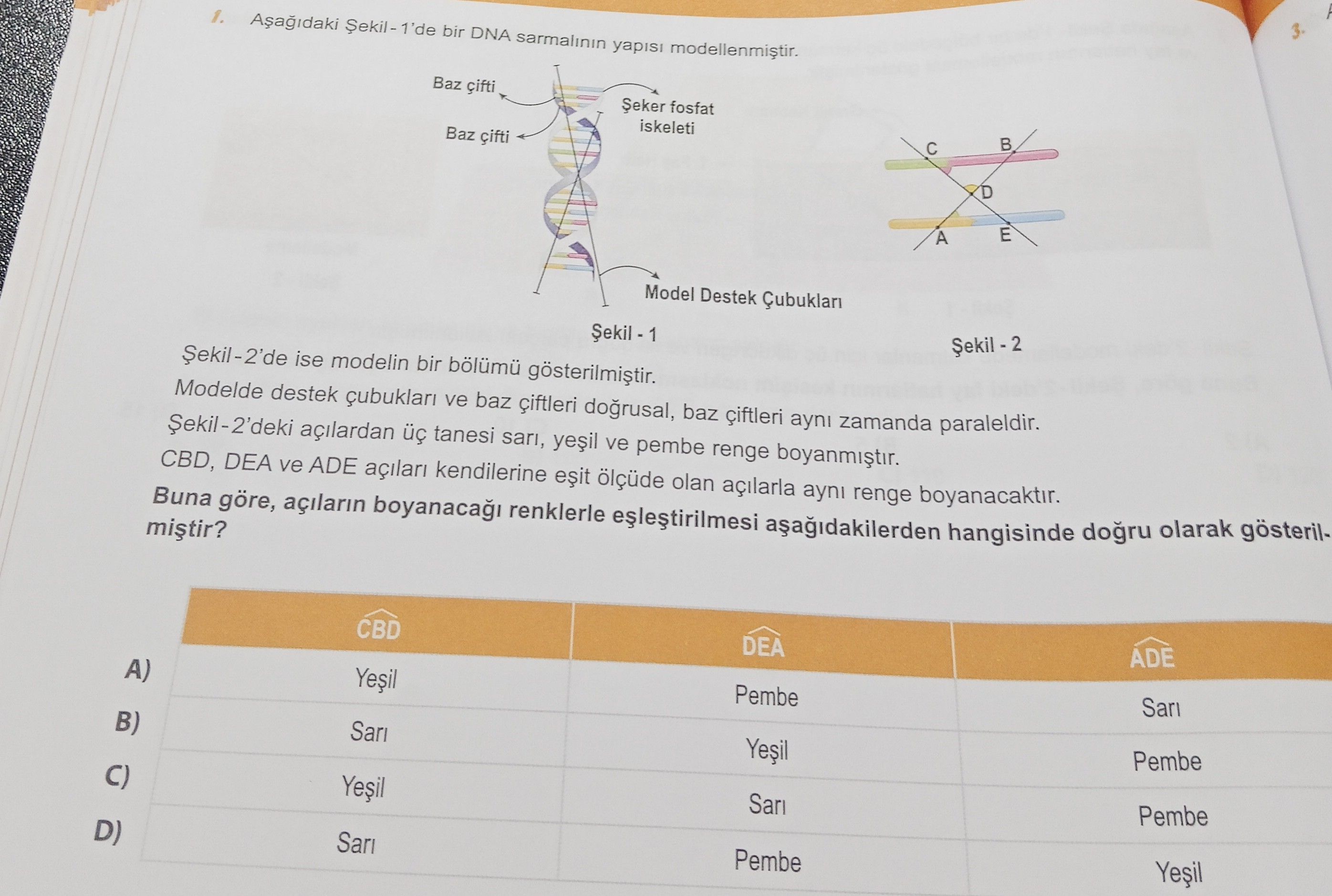 Aşağıdaki Şekil-1'de bir DNA sarmalının yapısı modellenmiştir. Şekil-2'de ise modelin bir bölümü