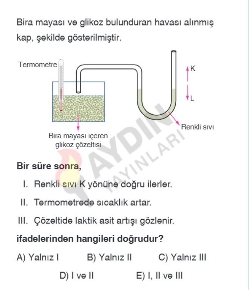 Bira mayası ve glikoz bulunduran havası alınmış kap, şekilde gösterilmiştir. Bir süre sonra, I