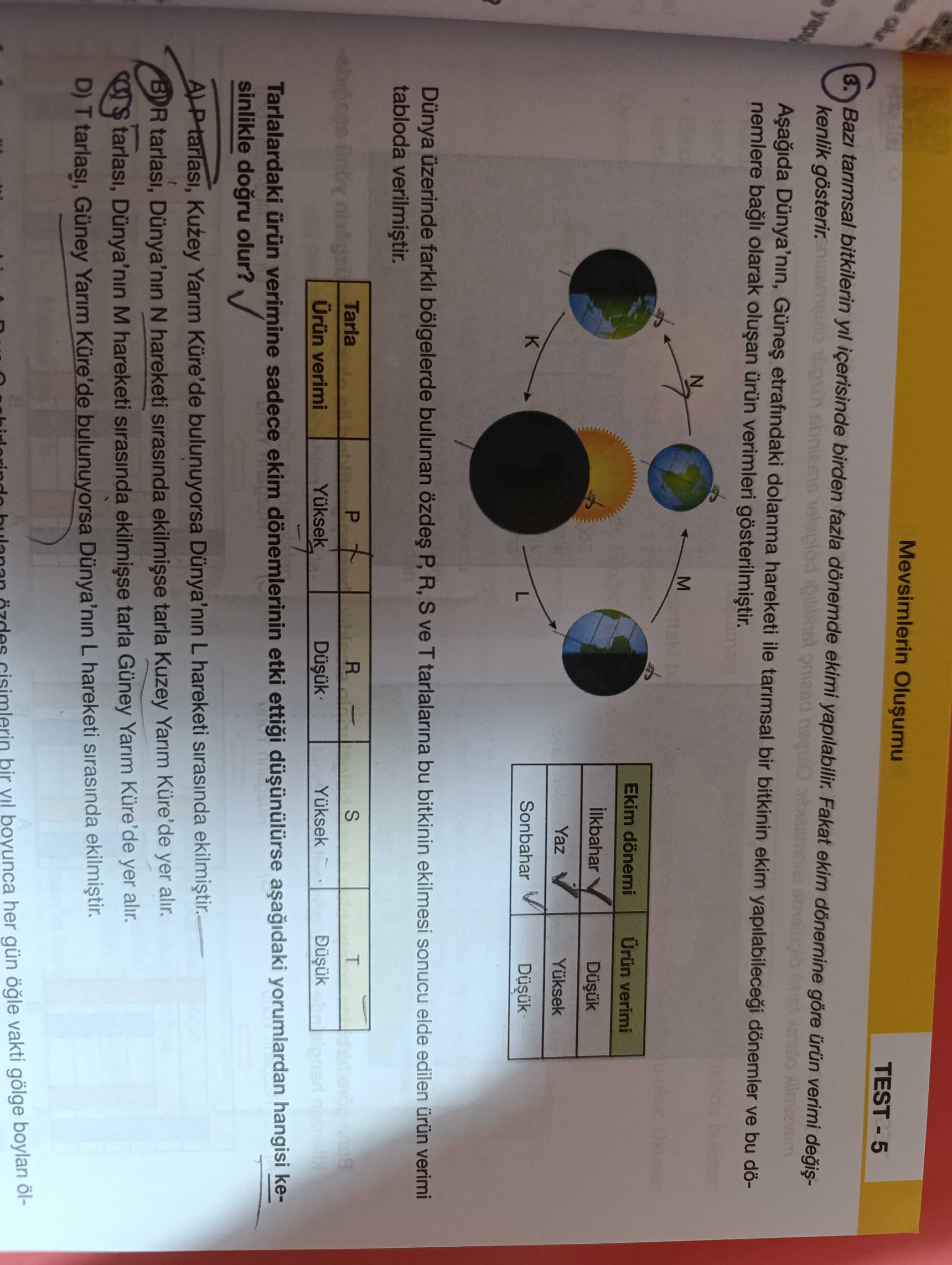 Matematik (8. Sınıf)