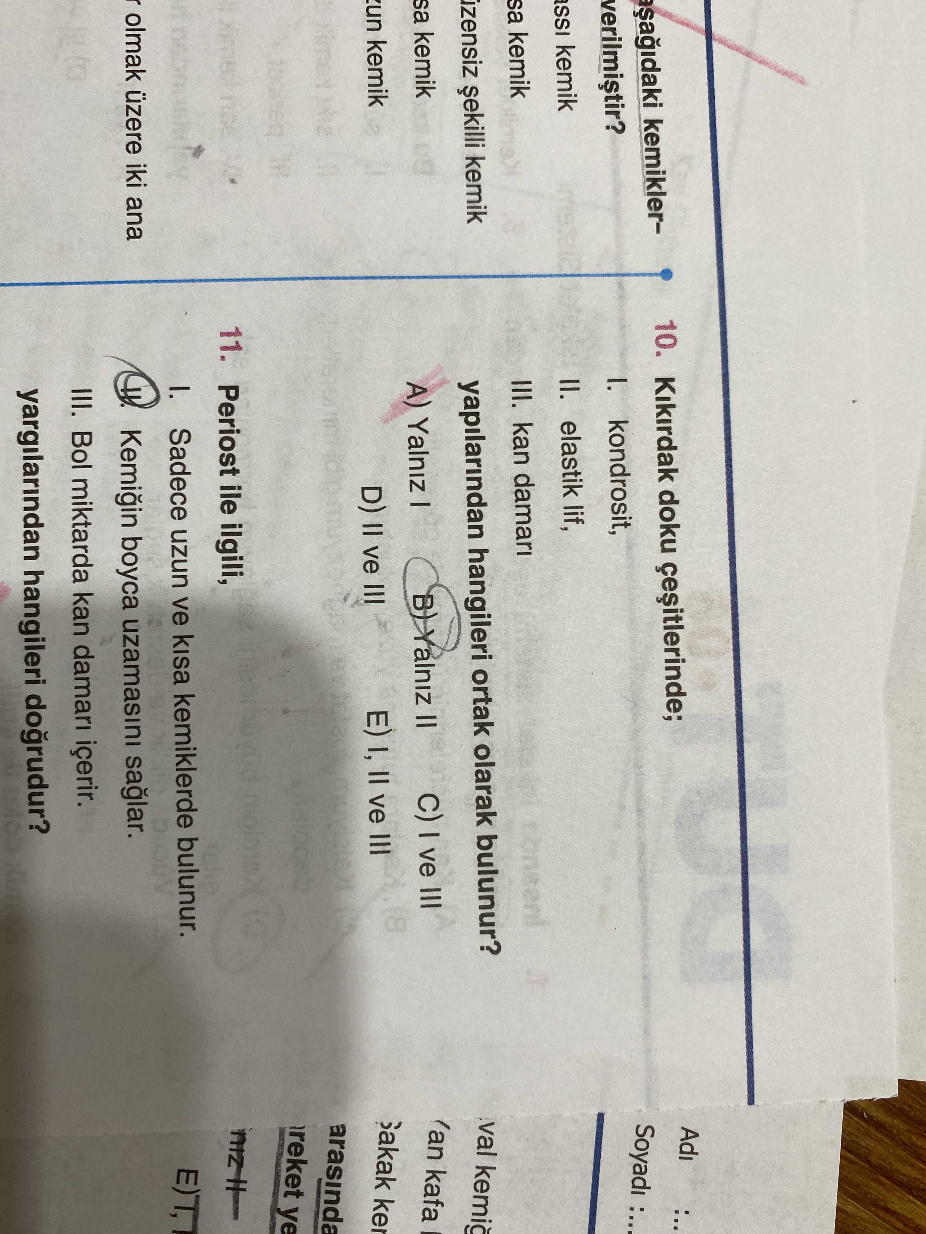 Kıkırdak doku çeşitlerinde; I. kondrosit, II. elastik lif, III. kan damarı yapılarından hangileri