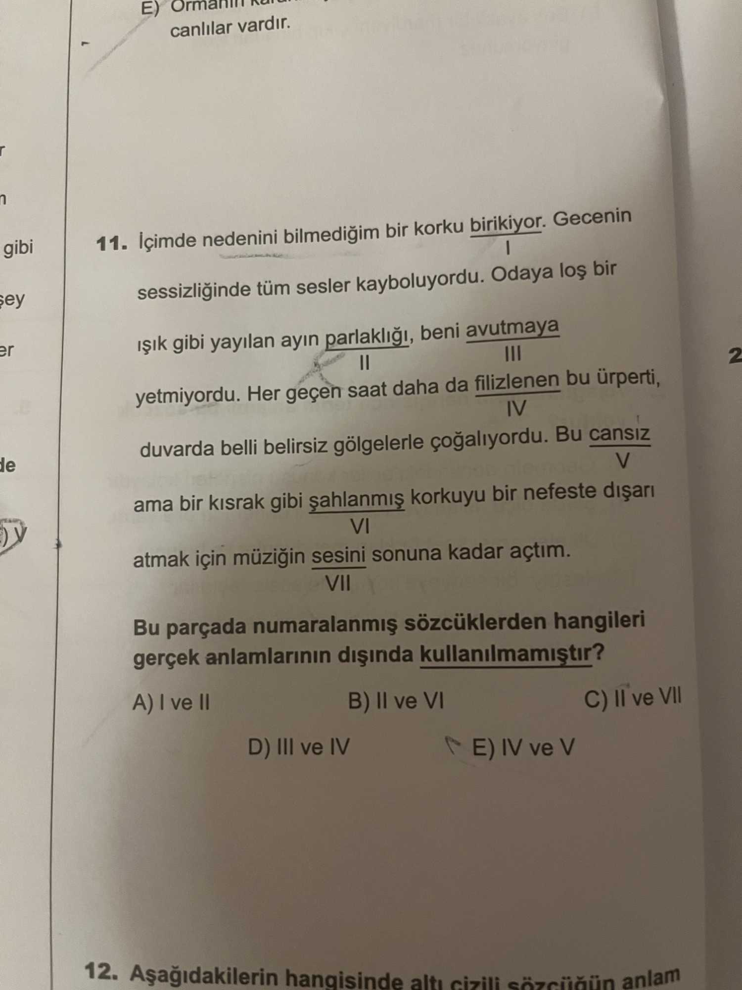 İçimde nedenini bilmediğim bir korku birikiyor. Gecenin I sessizliğinde tüm sesler kayboluyordu