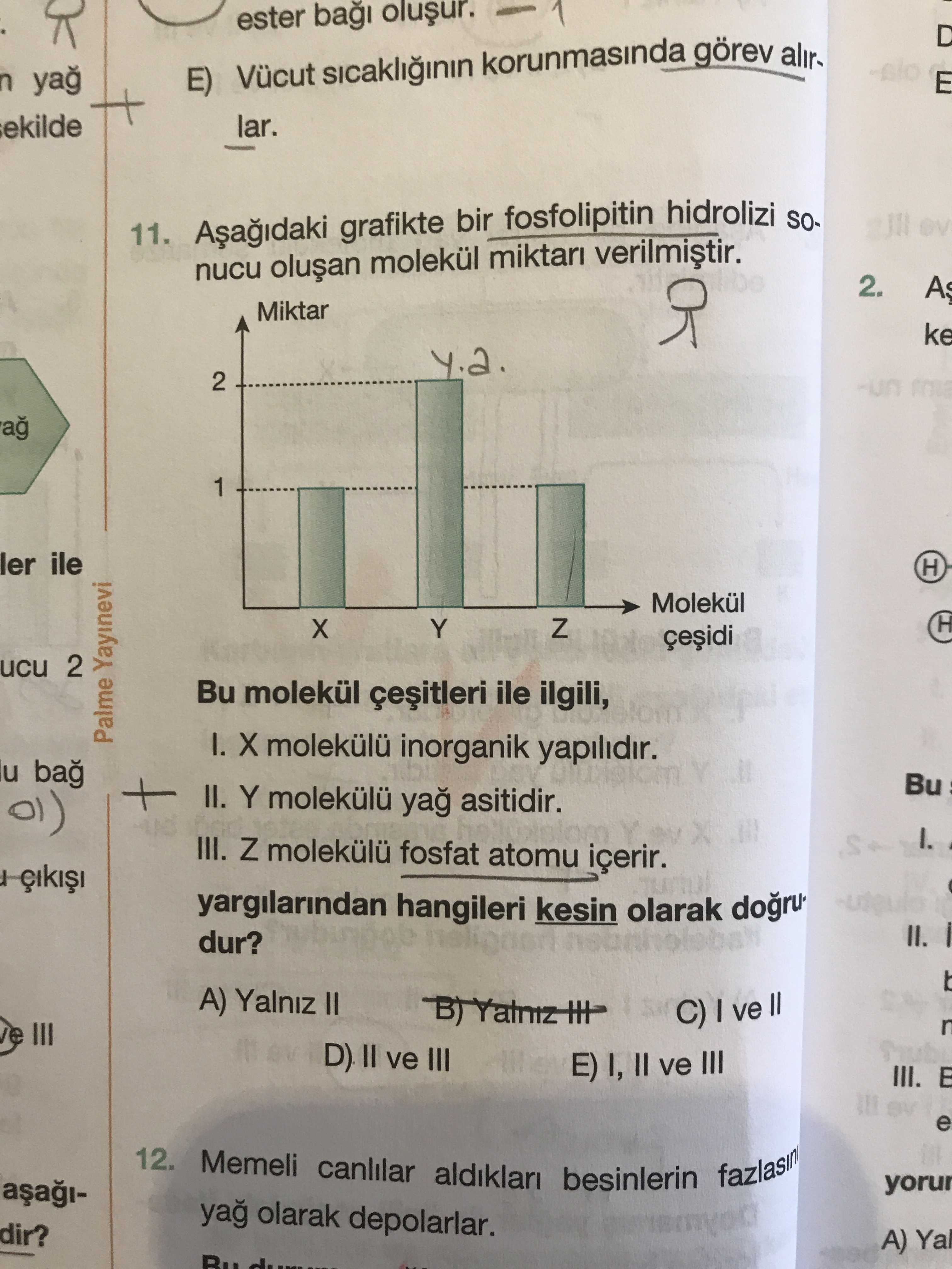 Aşağıdaki grafikte bir fosfolipitin hidrolizi sonucu oluşan molekül miktarı verilmiştir. Bu molekül