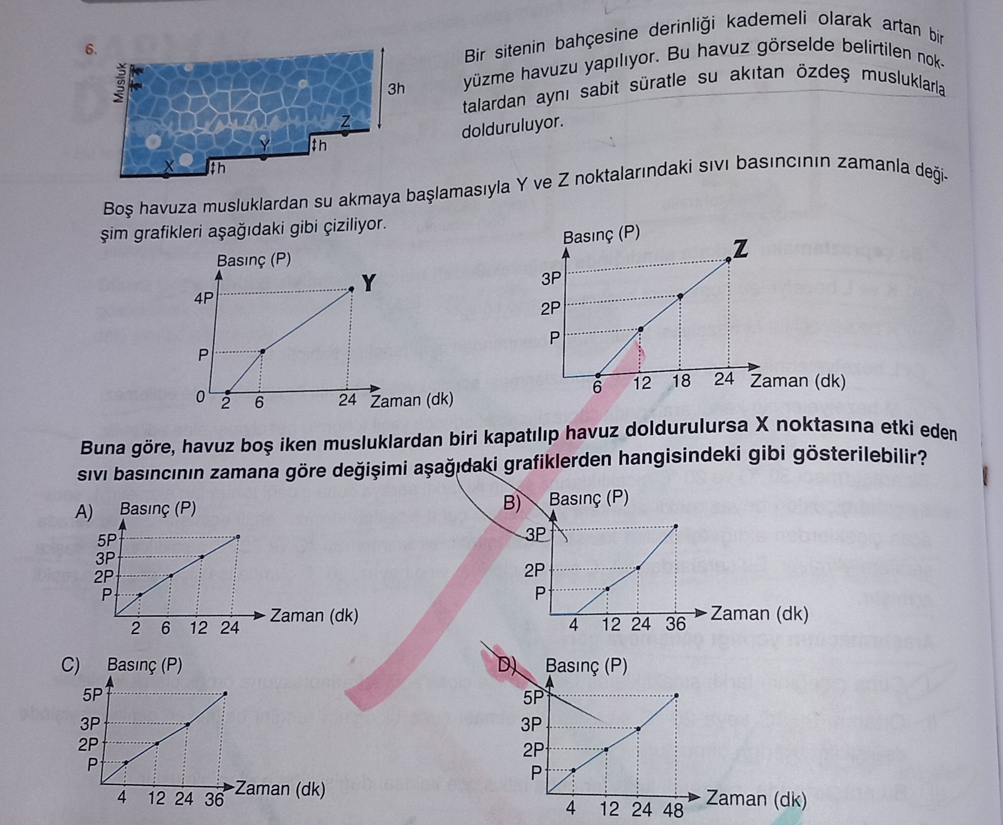 Fen Bilimleri (8. Sınıf)